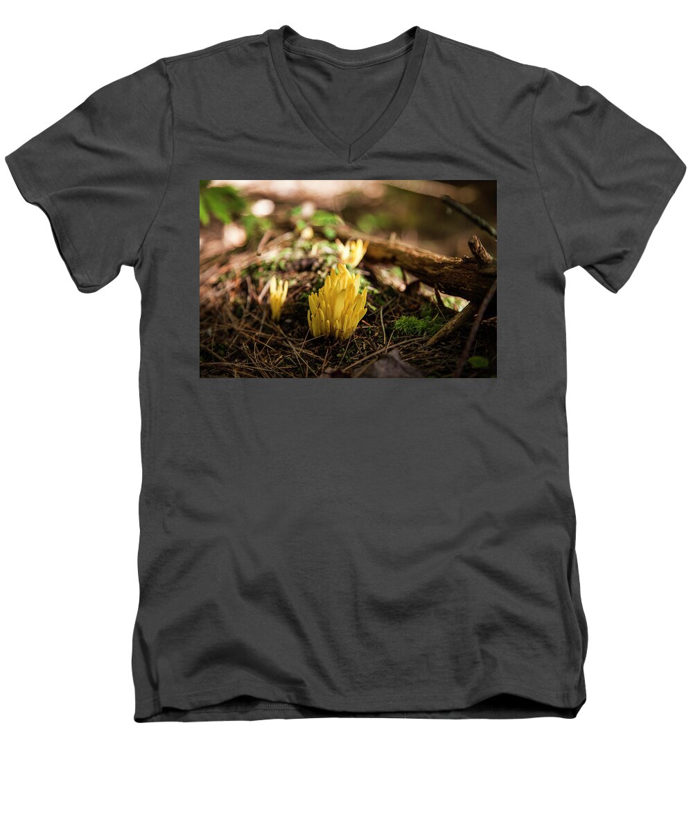 Fall Men's V-Neck T-Shirt featuring the photograph Golden Spindles by Benjamin Dahl
