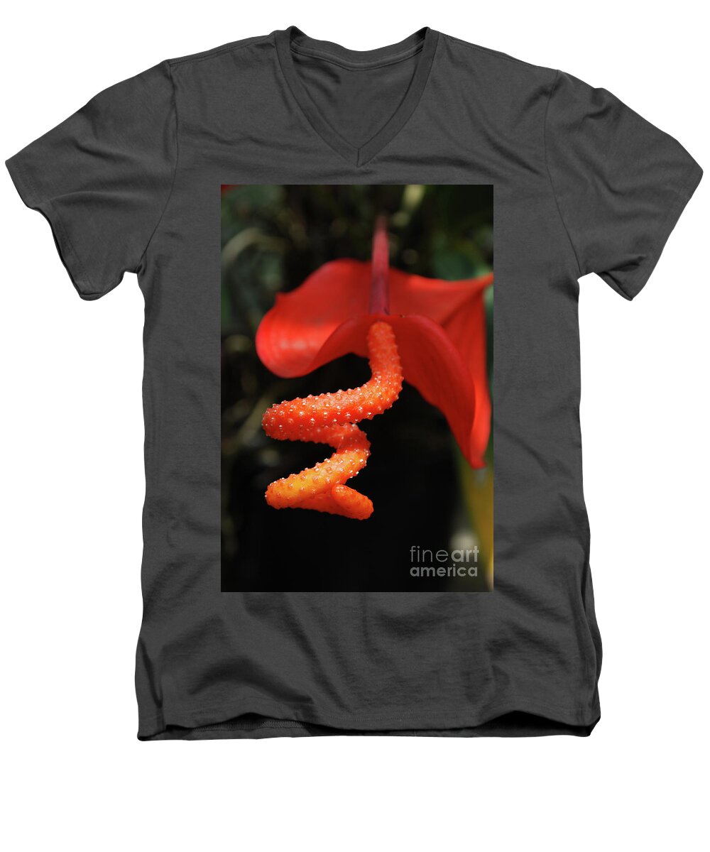 Tropical-flower Men's V-Neck T-Shirt featuring the photograph Gorgeous Orange Tropical Flower Blossom by DejaVu Designs