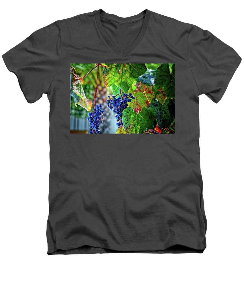 Grape Men's V-Neck T-Shirt featuring the photograph Grapes by Camille Lopez