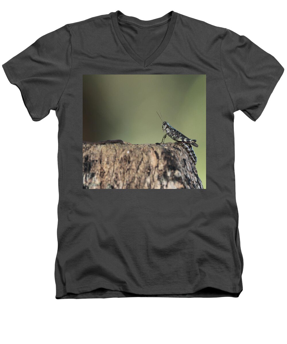 Grasshopper Men's V-Neck T-Shirt featuring the photograph Grasshopper Great River New York by Bob Savage