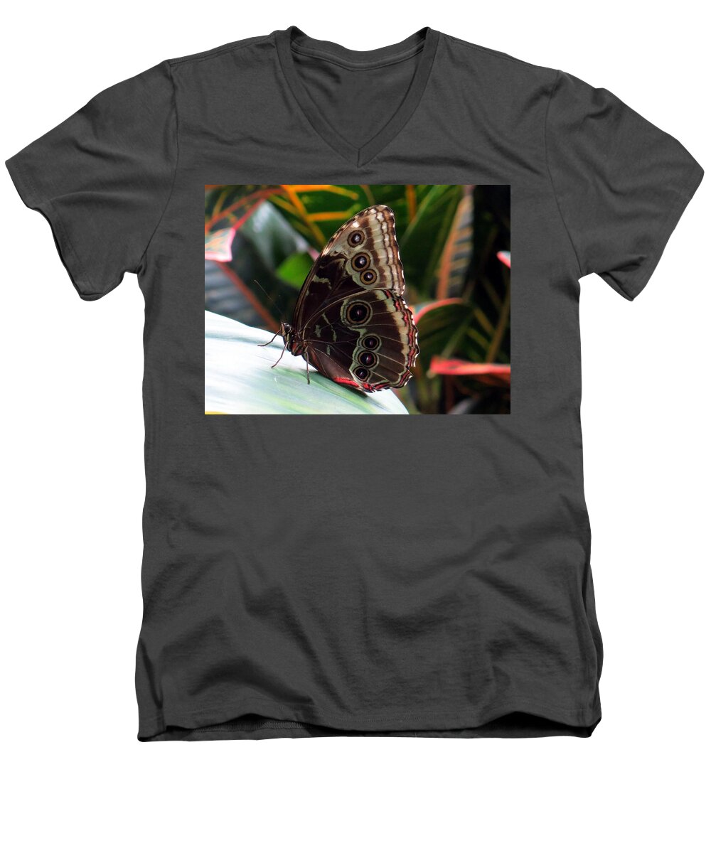 Butterfly Men's V-Neck T-Shirt featuring the photograph Gray Cracker Butterfly by Betty Buller Whitehead
