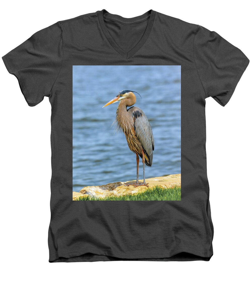 Ardea Herodias Men's V-Neck T-Shirt featuring the photograph Great Blue Heron by Patrick Wolf