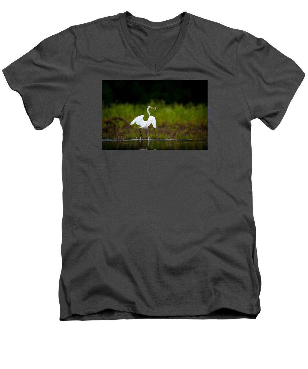 Nature Men's V-Neck T-Shirt featuring the photograph Great Egret, Great Fisherman by Jeff Phillippi