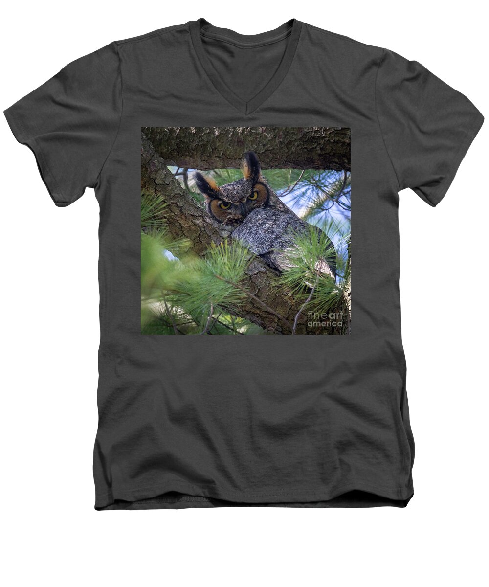 Female Men's V-Neck T-Shirt featuring the photograph Great Horned Owl by Jim Gillen