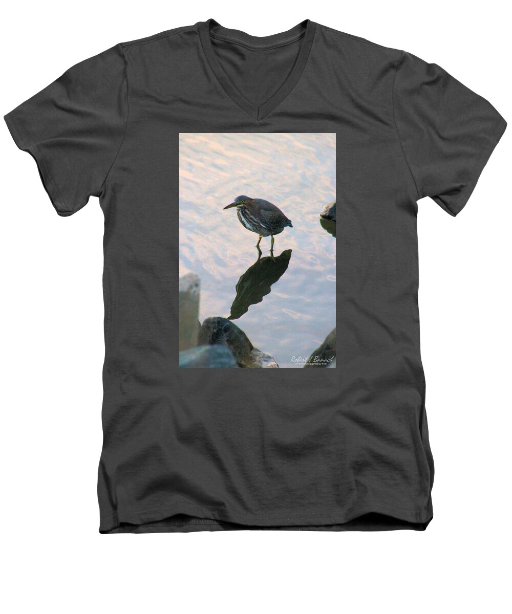 Animals Men's V-Neck T-Shirt featuring the photograph Green Heron in Pink Waters by Robert Banach