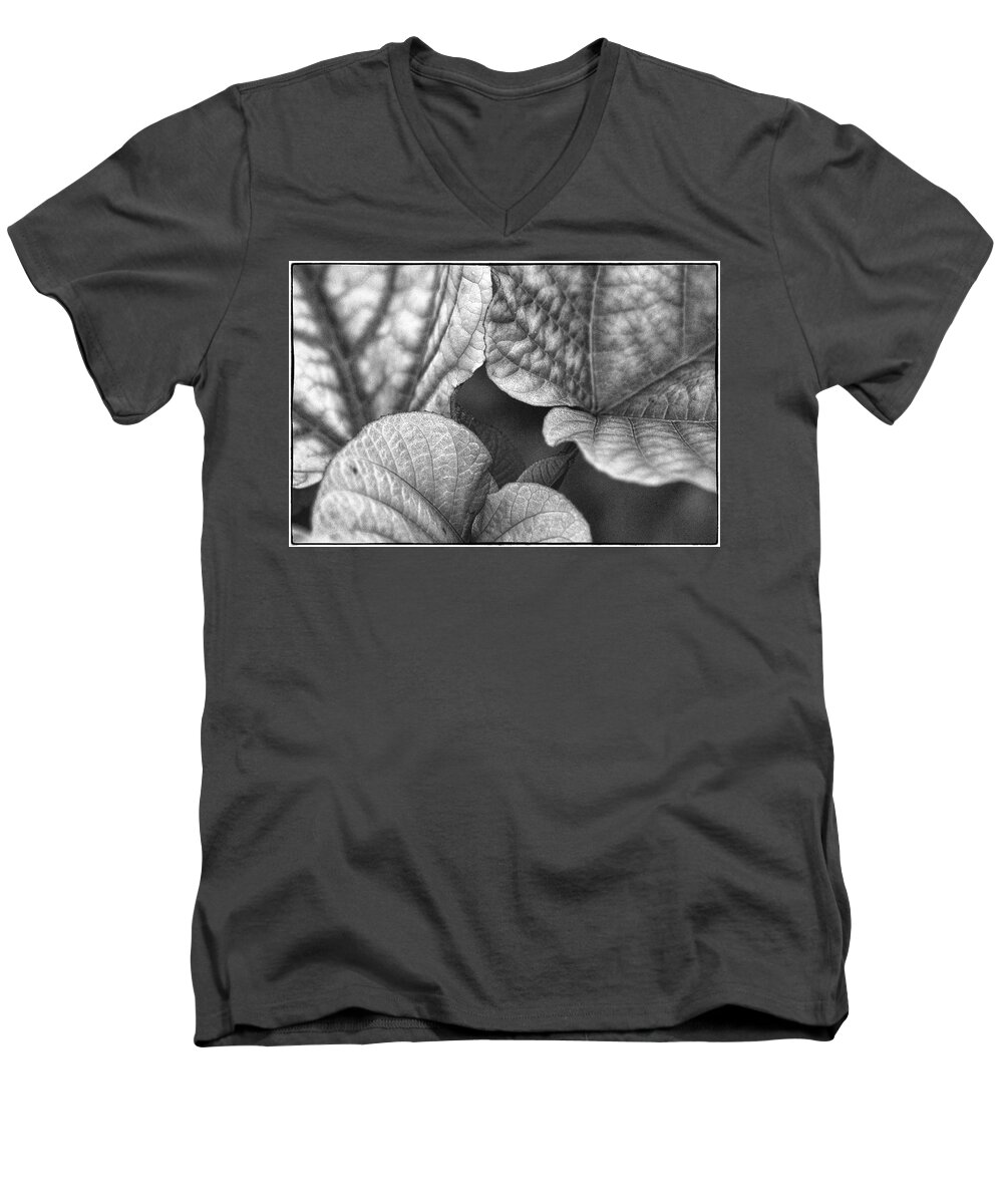Leaf Men's V-Neck T-Shirt featuring the photograph Green Leaves by John Hansen
