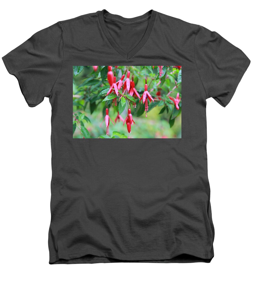 Fuschia Men's V-Neck T-Shirt featuring the photograph Growing in Red and Purple by Laddie Halupa