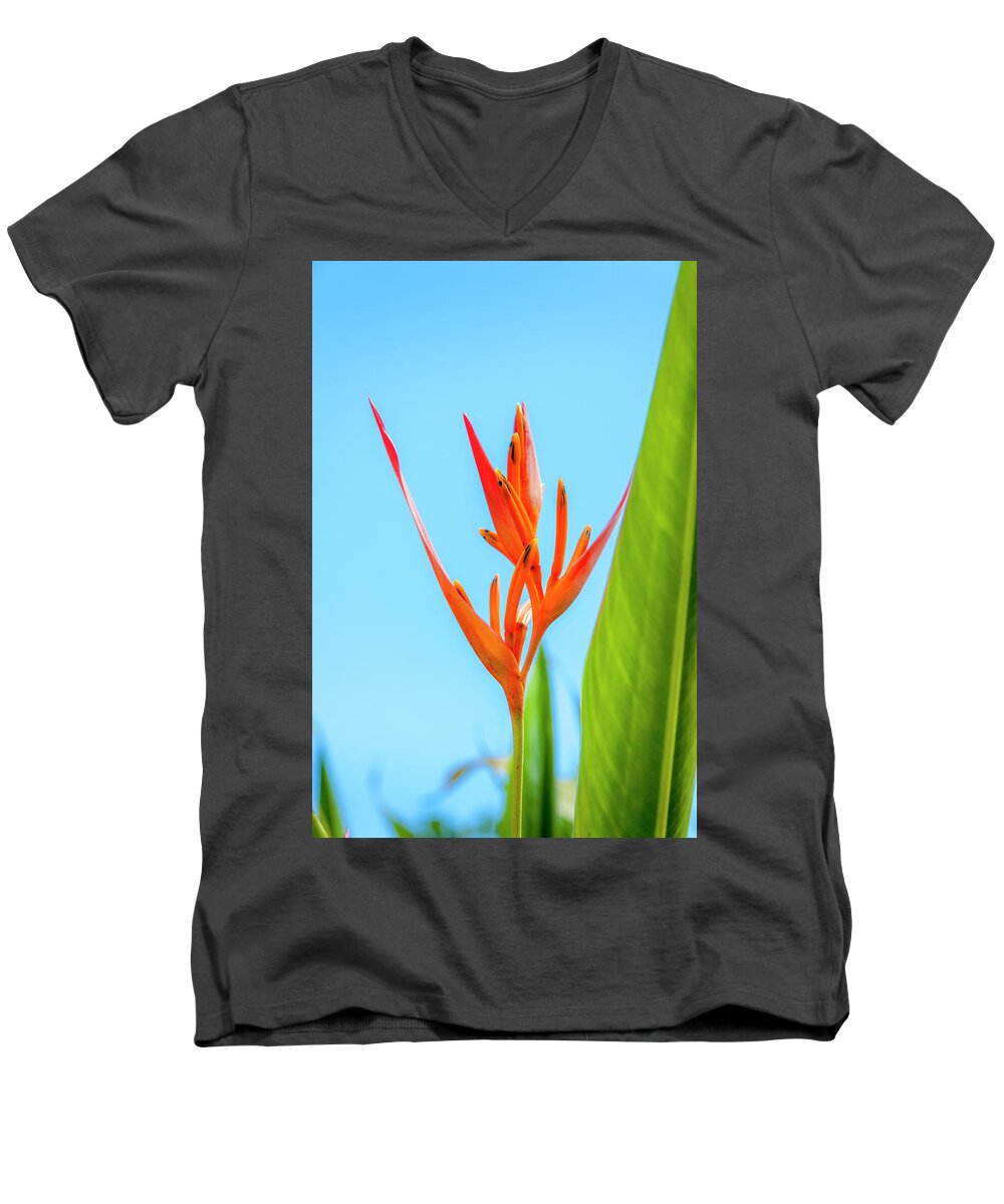 Flowers Men's V-Neck T-Shirt featuring the photograph Heliconia Flower by Daniel Murphy