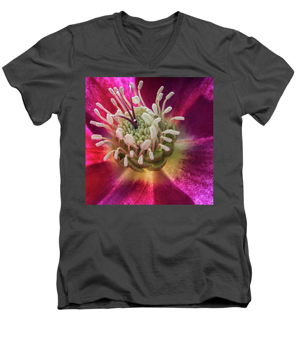 Hellebore Men's V-Neck T-Shirt featuring the photograph Hellebore center by Shirley Mitchell