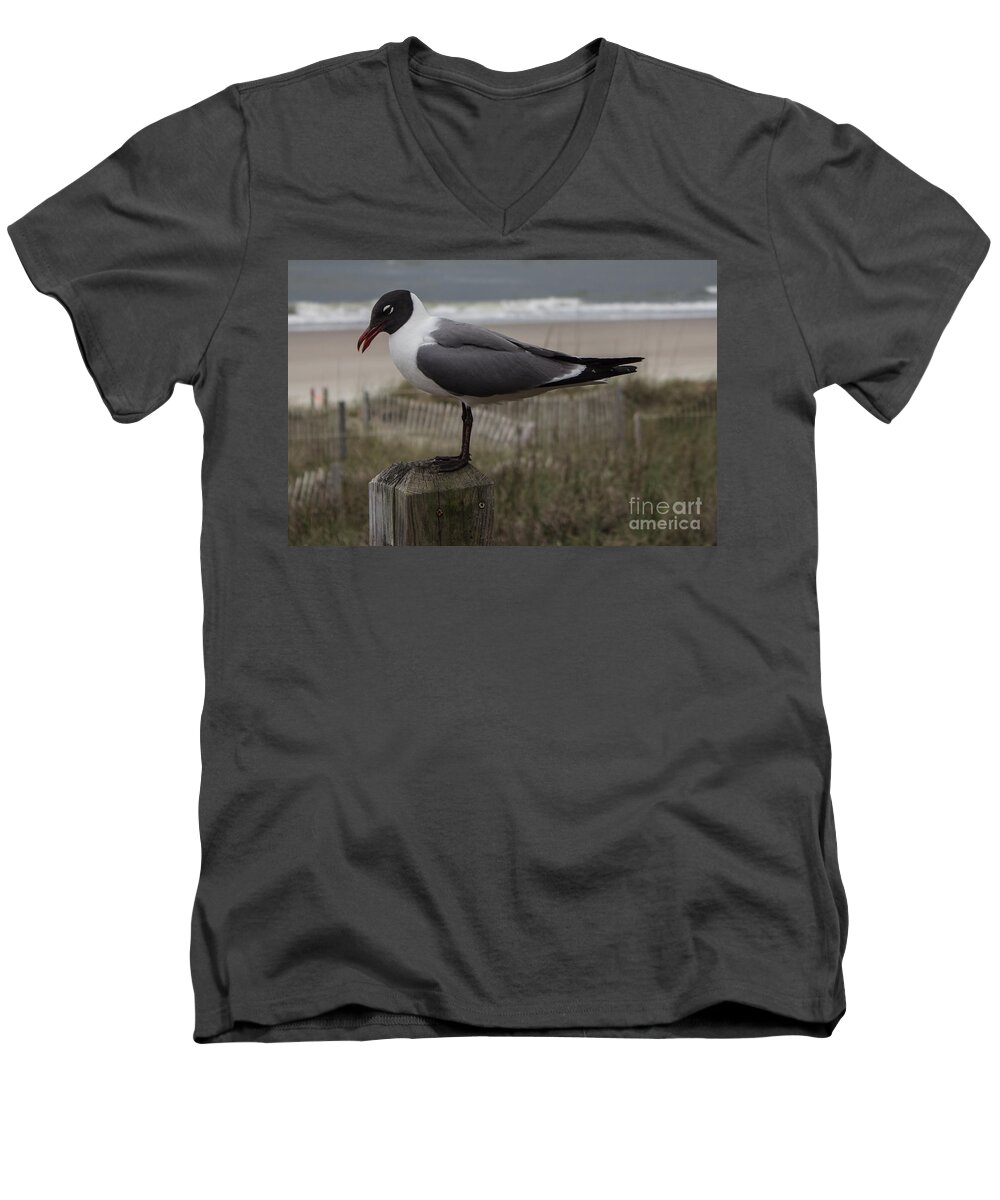 Seagull Men's V-Neck T-Shirt featuring the photograph Hello Friend Seagull by Roberta Byram