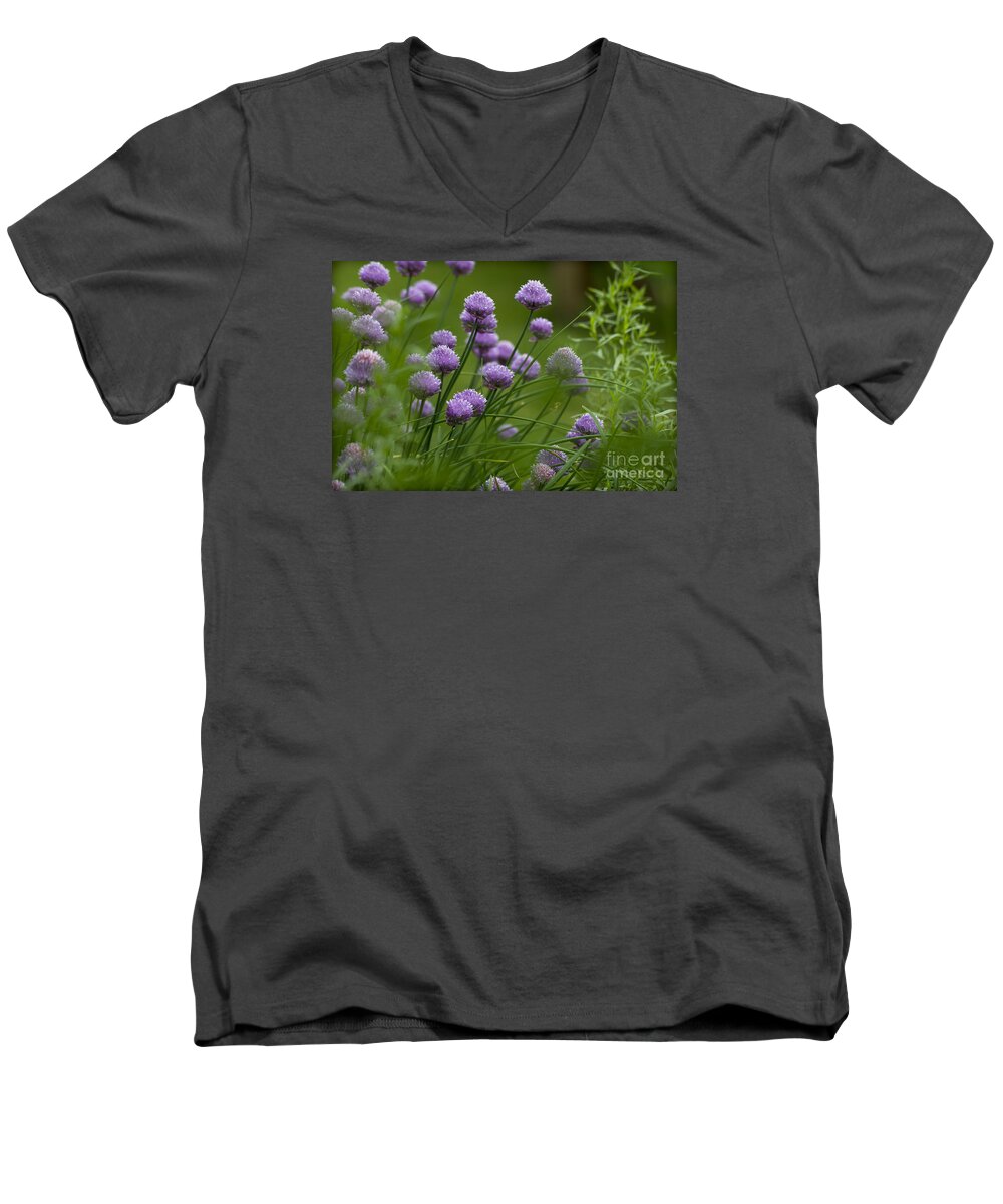 Clare Bambers Men's V-Neck T-Shirt featuring the photograph Herb Garden. by Clare Bambers