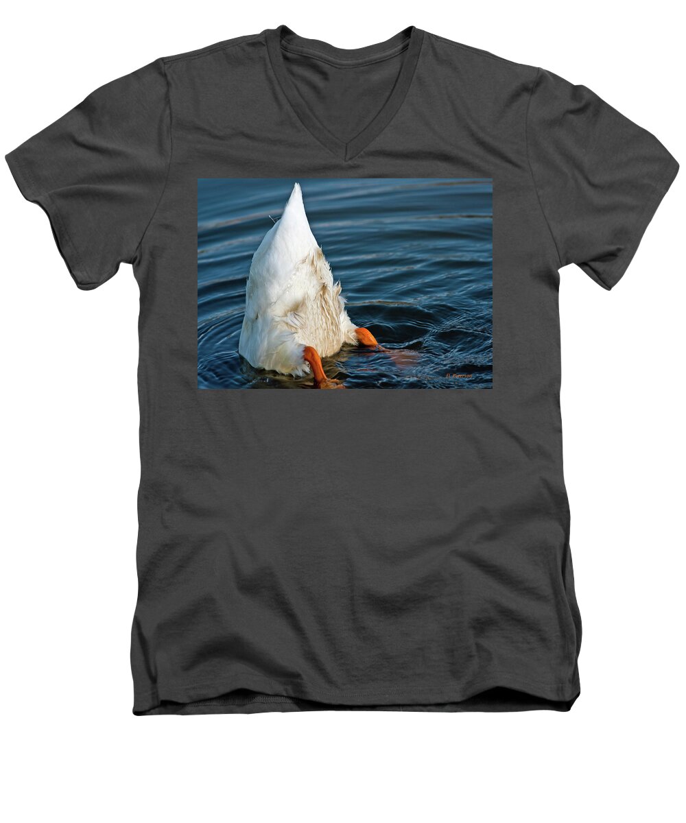 Duck Men's V-Neck T-Shirt featuring the photograph Here Is What I Think by Ed Peterson