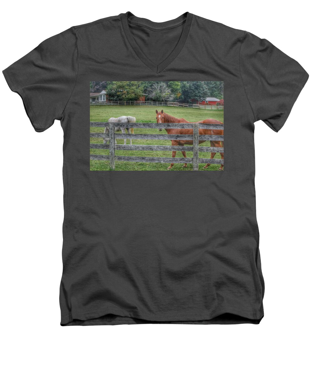 Horses Men's V-Neck T-Shirt featuring the photograph 1007 - Here's Looking at You by Sheryl L Sutter