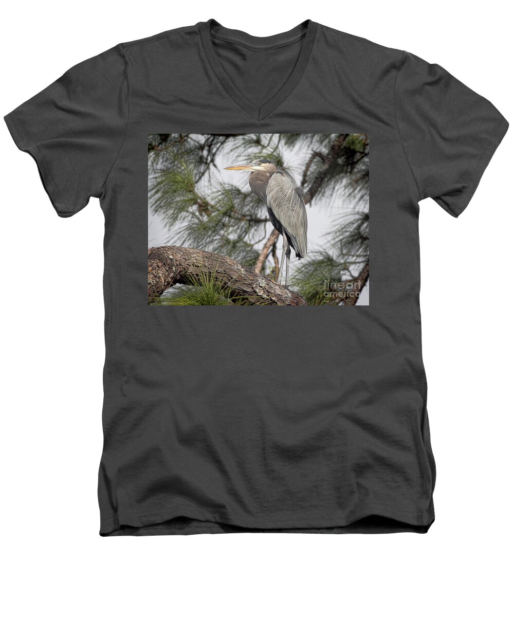 Blue Heron Men's V-Neck T-Shirt featuring the photograph High In The Pine by Deborah Benoit