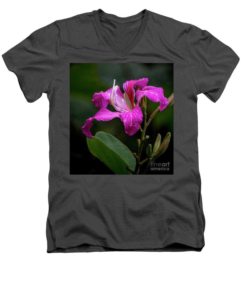 Hawaii Men's V-Neck T-Shirt featuring the photograph Hong Kong Orchid by Teresa Wilson