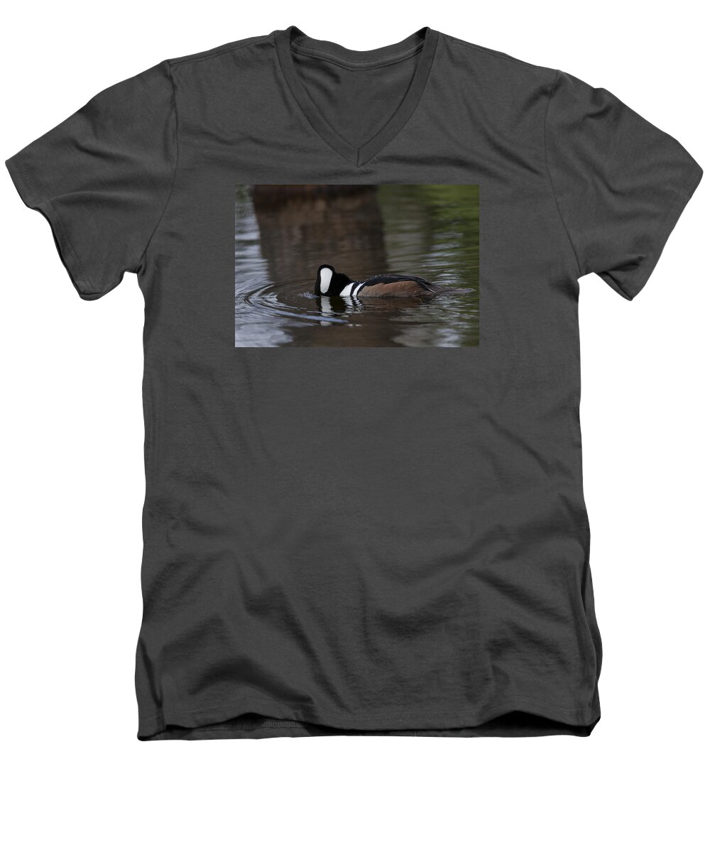 Hooded Men's V-Neck T-Shirt featuring the photograph Hooded Merganser preparing to dive by David Watkins