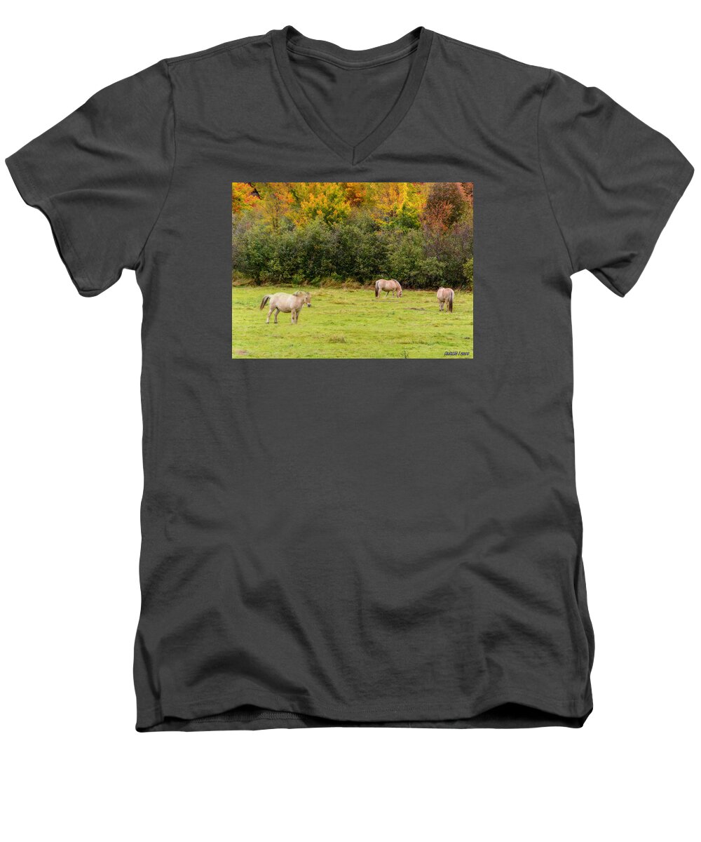 Lake Ainslie Men's V-Neck T-Shirt featuring the photograph Horses Enjoying a Beautiful Autumn Day by Ken Morris