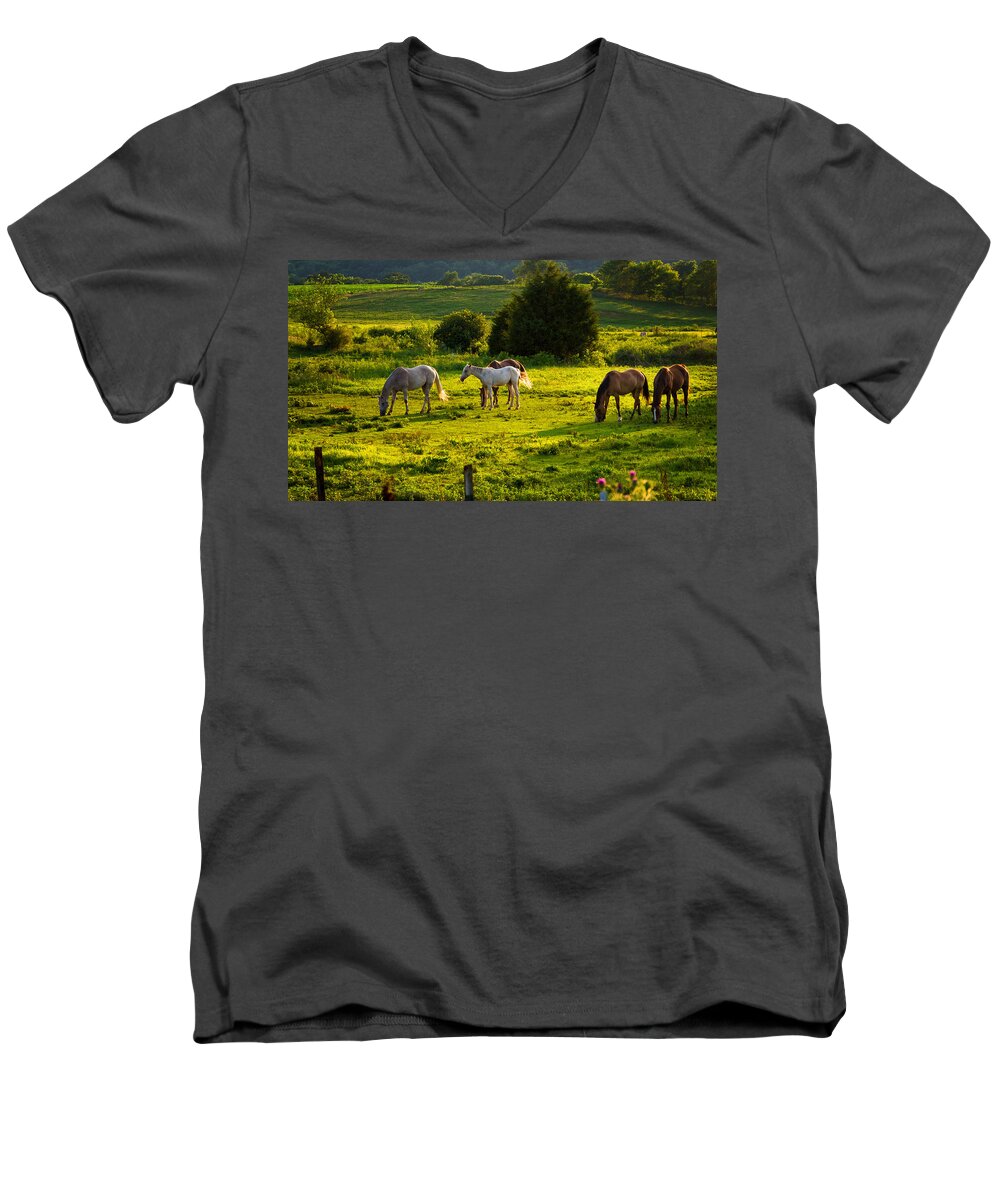 Da 18-135 Wr Men's V-Neck T-Shirt featuring the photograph Horses Grazing in Evening Light by Lori Coleman