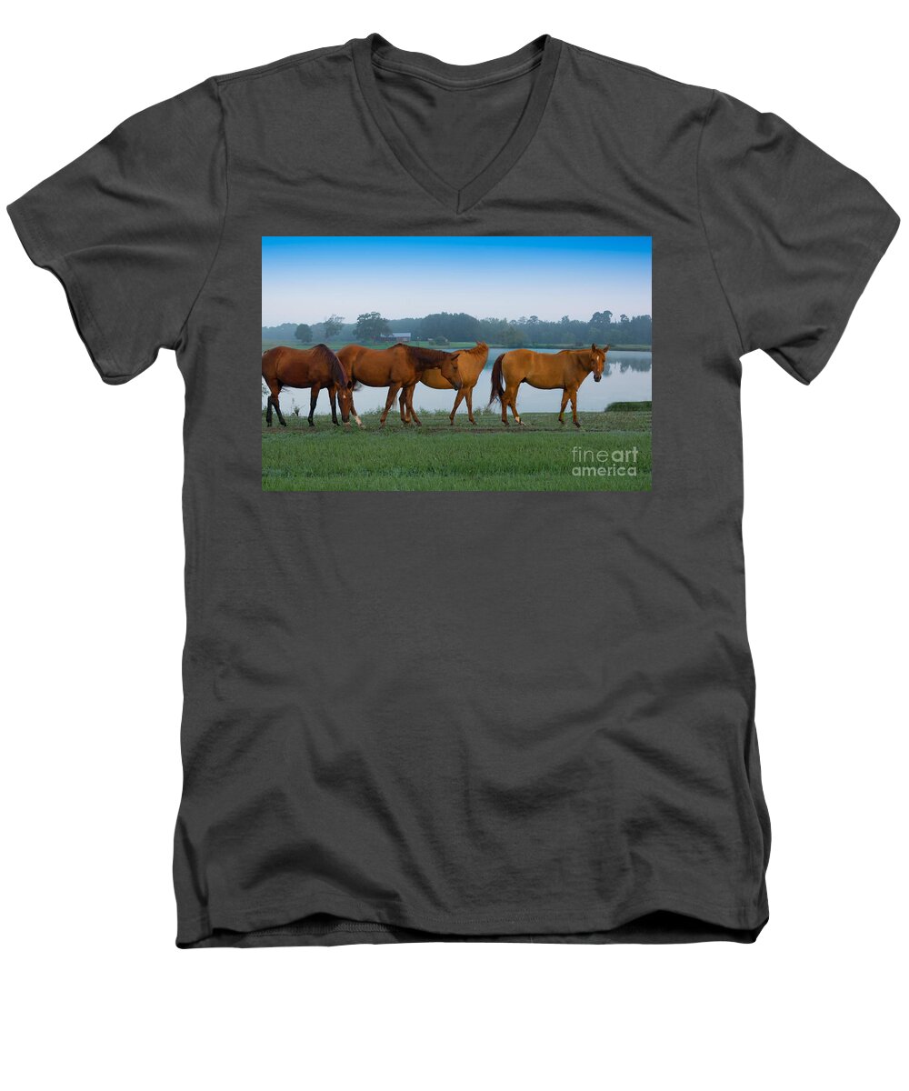 Horses Men's V-Neck T-Shirt featuring the photograph Horses on the Walk by Metaphor Photo