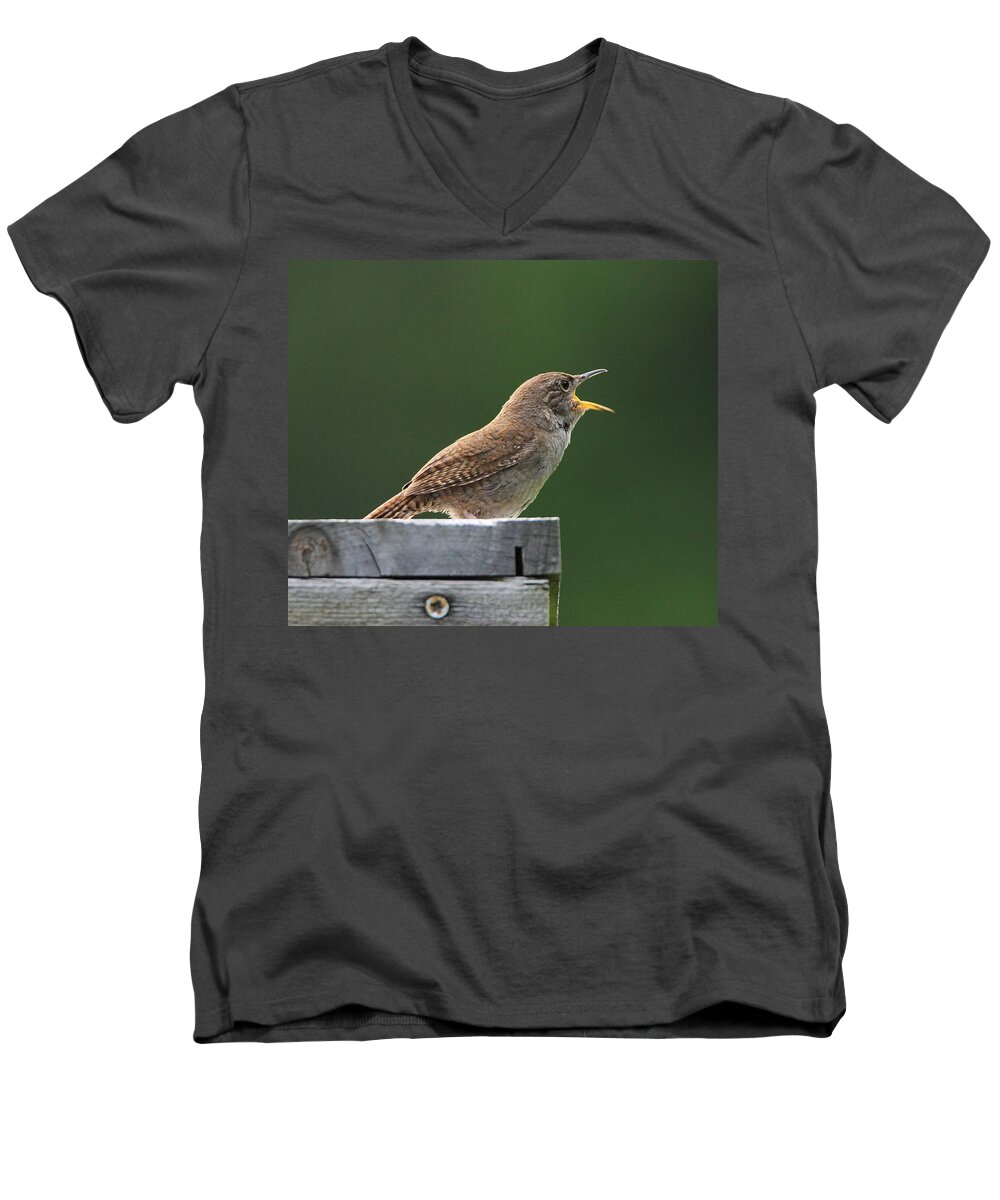 House Wren Men's V-Neck T-Shirt featuring the photograph House Wren Stony Brook New York by Bob Savage
