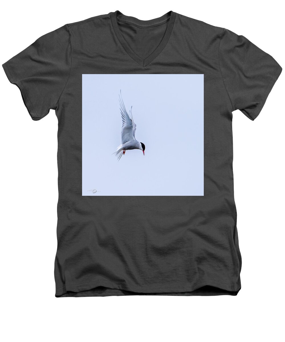 Hovering Arctric Tern Men's V-Neck T-Shirt featuring the photograph Hovering Arctic Tern by Torbjorn Swenelius
