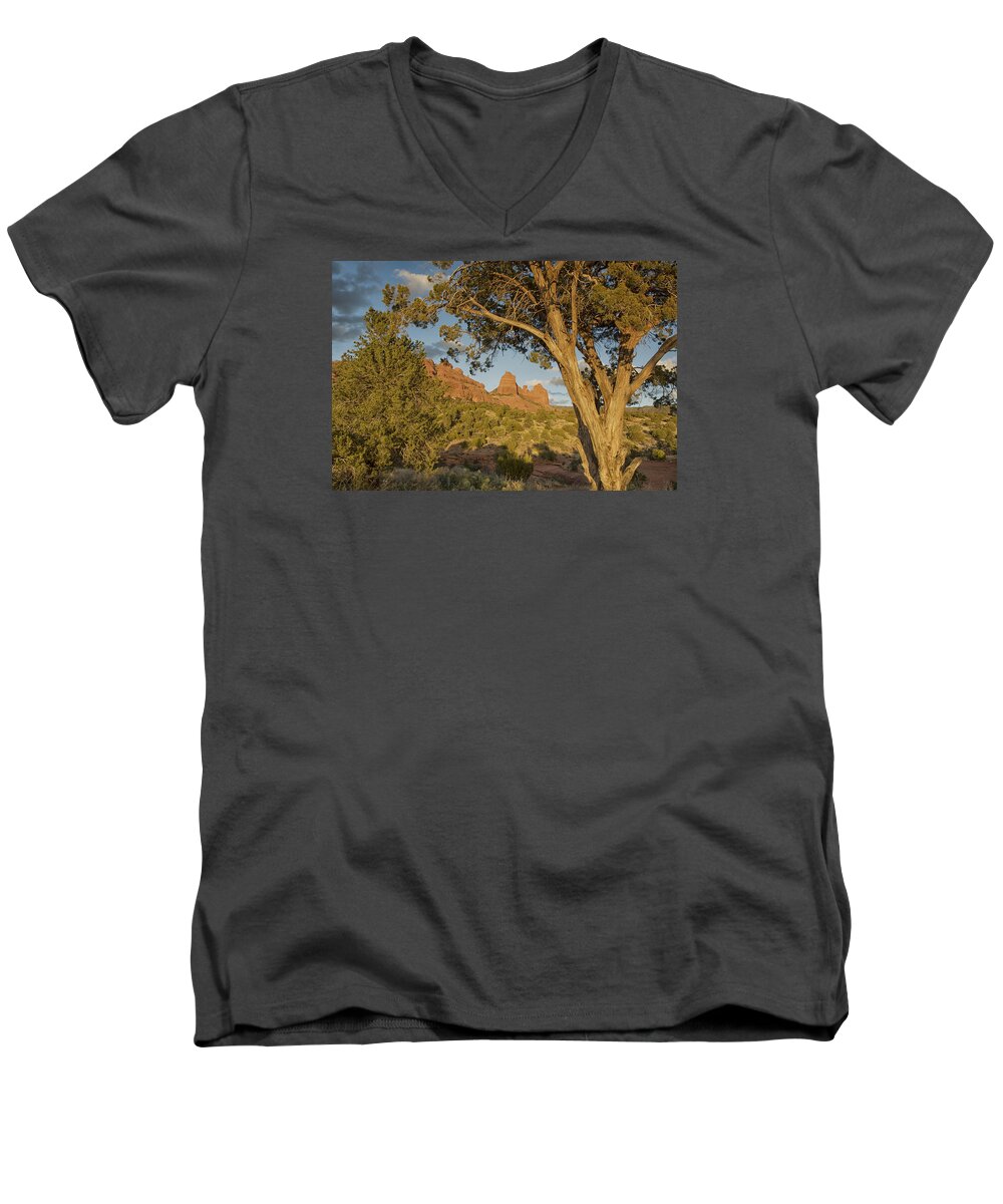 Huckabee Trail Men's V-Neck T-Shirt featuring the photograph Huckabee by Tom Kelly