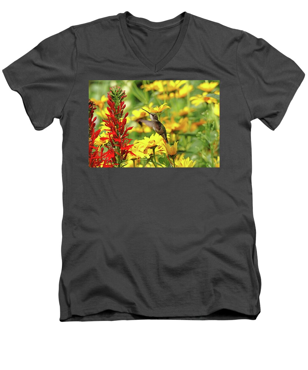 Hummingbird Men's V-Neck T-Shirt featuring the photograph Hummers Love Red by Debbie Oppermann