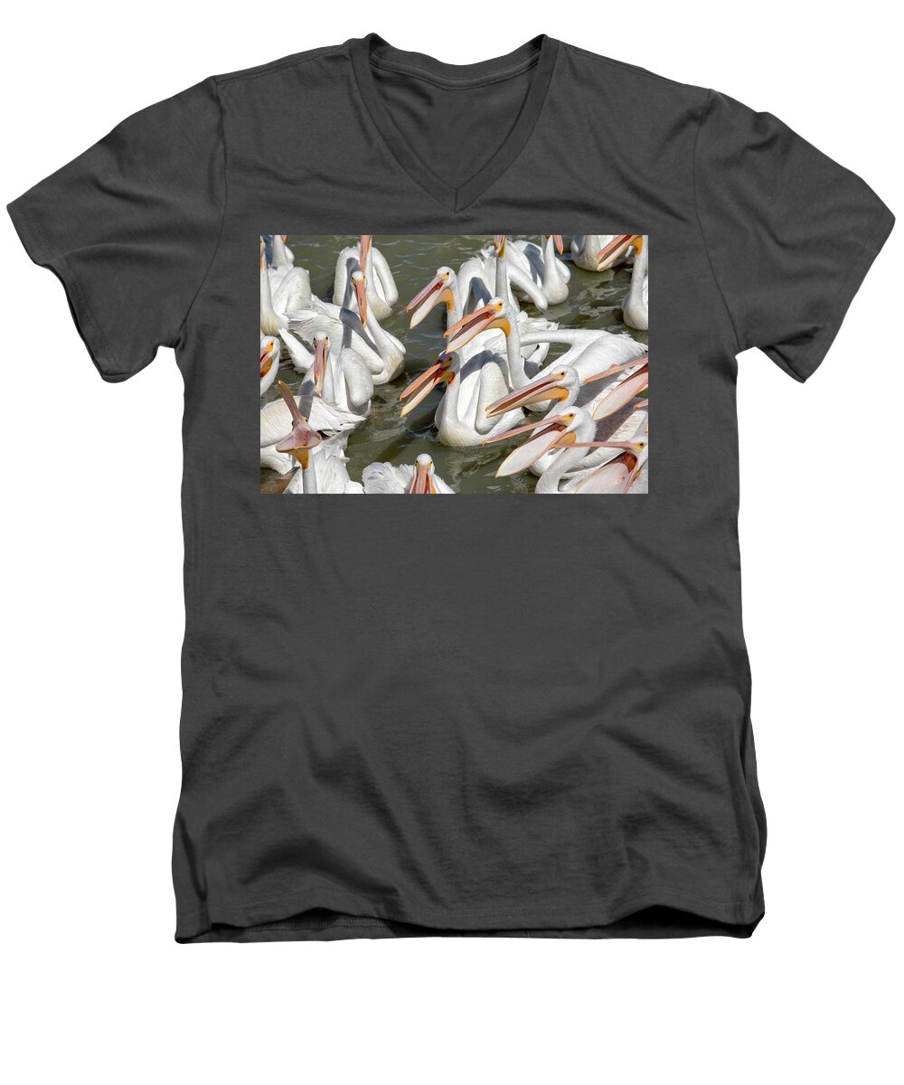Pelicans Men's V-Neck T-Shirt featuring the photograph Hungry Pelicans by Eunice Gibb