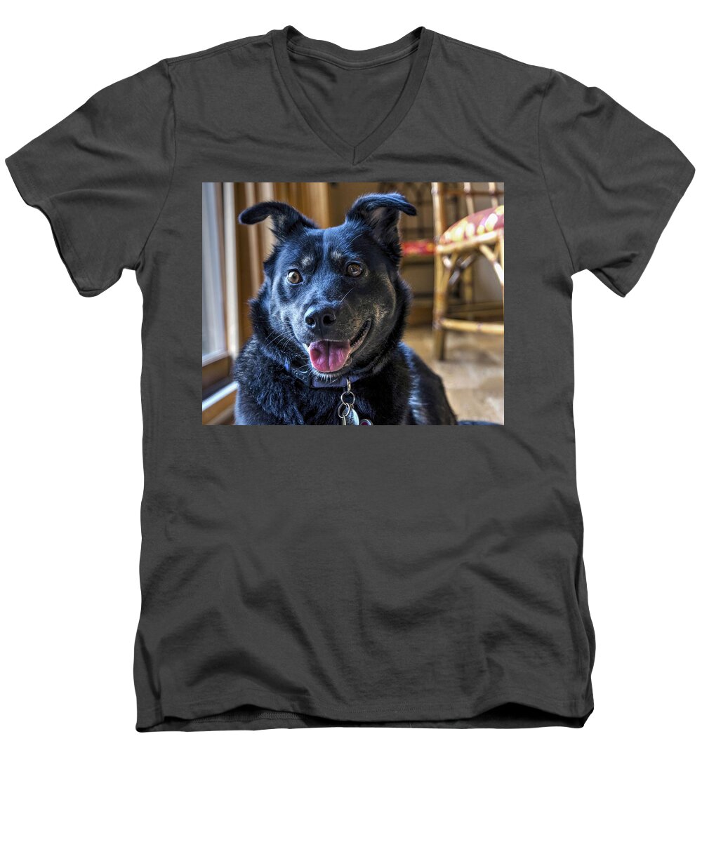 Dog Men's V-Neck T-Shirt featuring the photograph Ready When You Are by Keith Armstrong