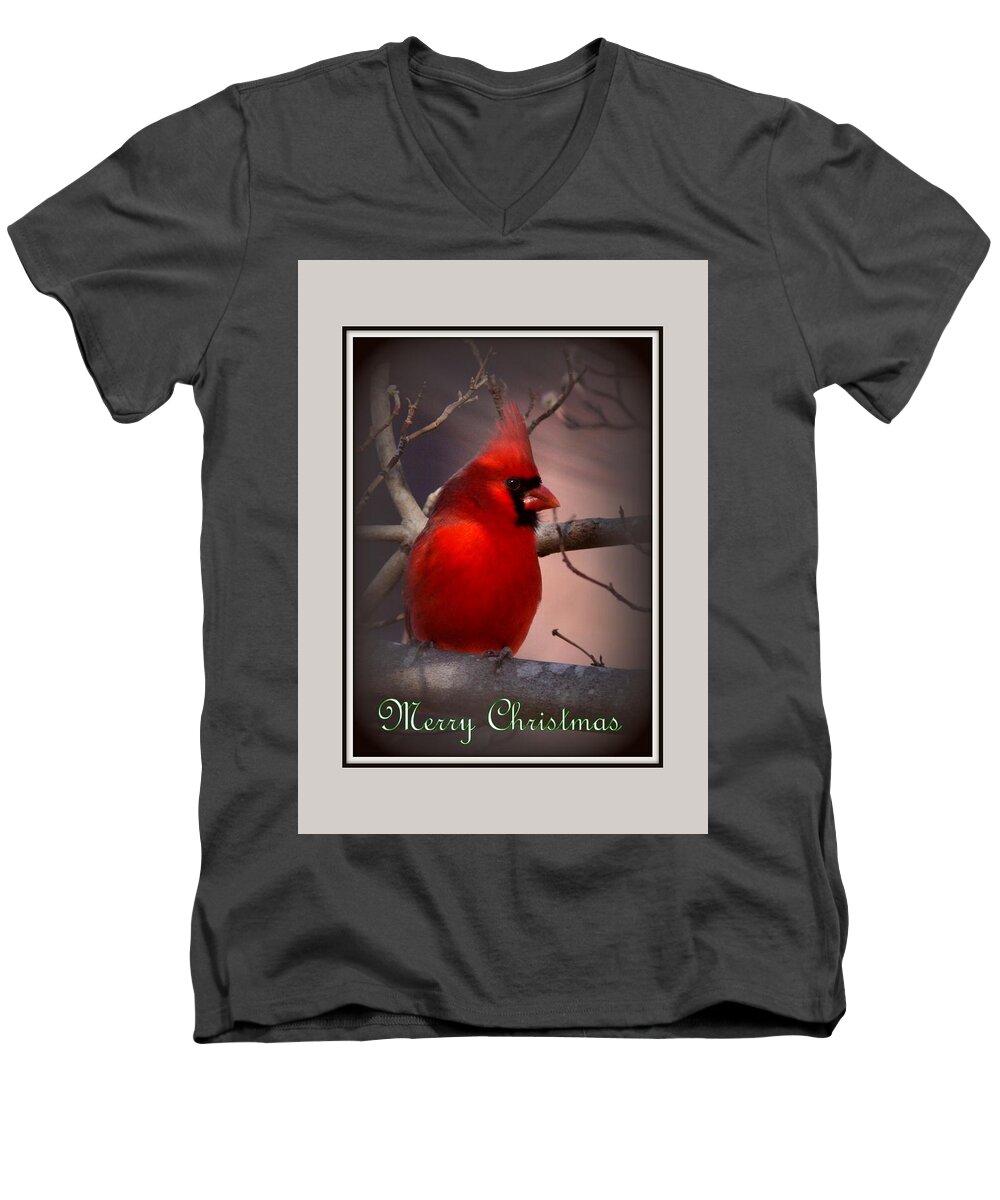 Northern Cardinal Men's V-Neck T-Shirt featuring the photograph IMG_3158-005 - Northern Cardinal Christmas Card by Travis Truelove