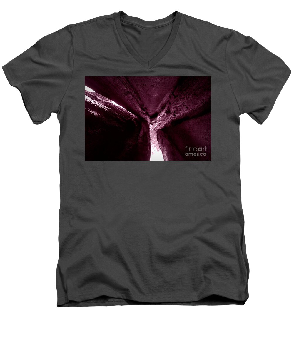 Giant Sequoia Men's V-Neck T-Shirt featuring the photograph In The Belly of a Two Headed Giant by Leah McPhail