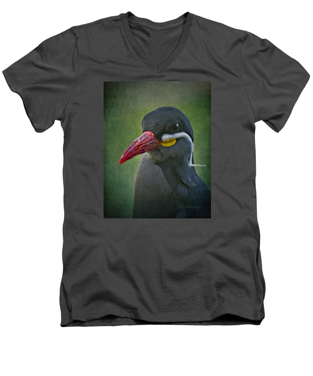 Inca Tern Men's V-Neck T-Shirt featuring the photograph Inca Tern _ 1a by Walter Herrit