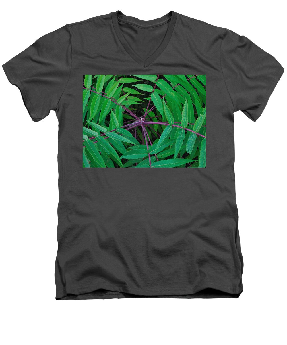 Tree Men's V-Neck T-Shirt featuring the photograph Infinity by Mark Fuller