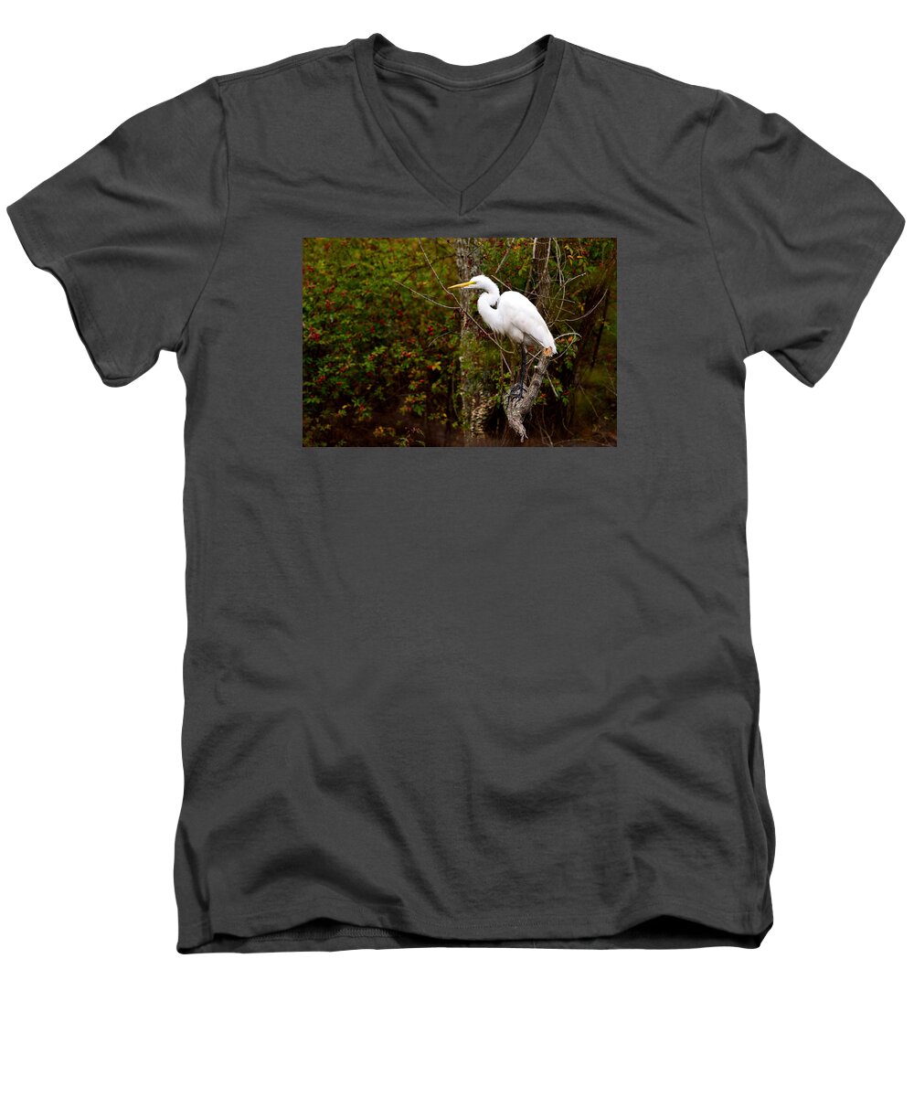 Heron Men's V-Neck T-Shirt featuring the photograph Intense by Jamie Pattison