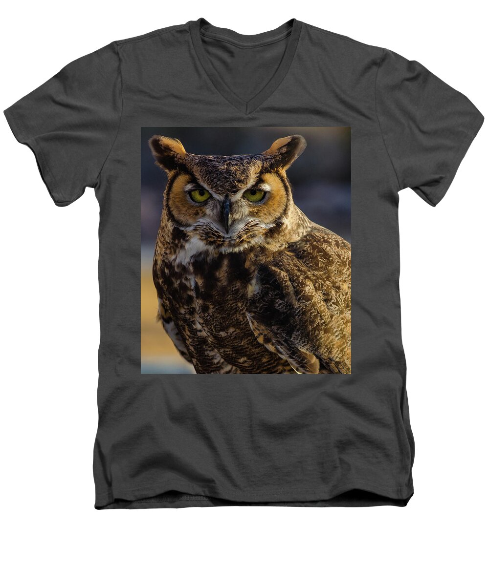 Owl Men's V-Neck T-Shirt featuring the photograph Intense Owl by Douglas Killourie