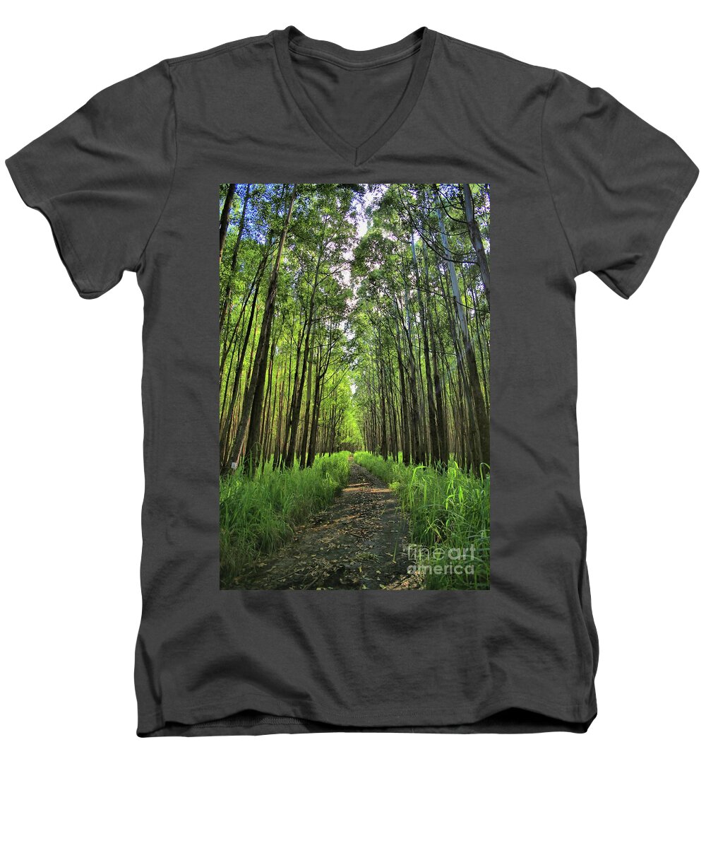 Forest Men's V-Neck T-Shirt featuring the photograph Into The Forest by DJ Florek