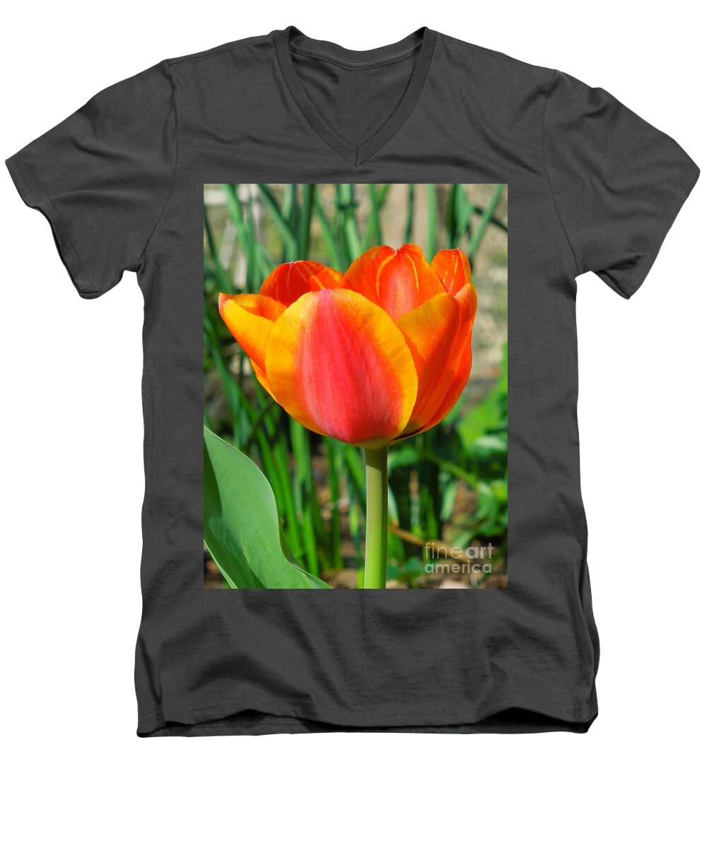Tulip Men's V-Neck T-Shirt featuring the photograph Joyful Tulip by Chad and Stacey Hall
