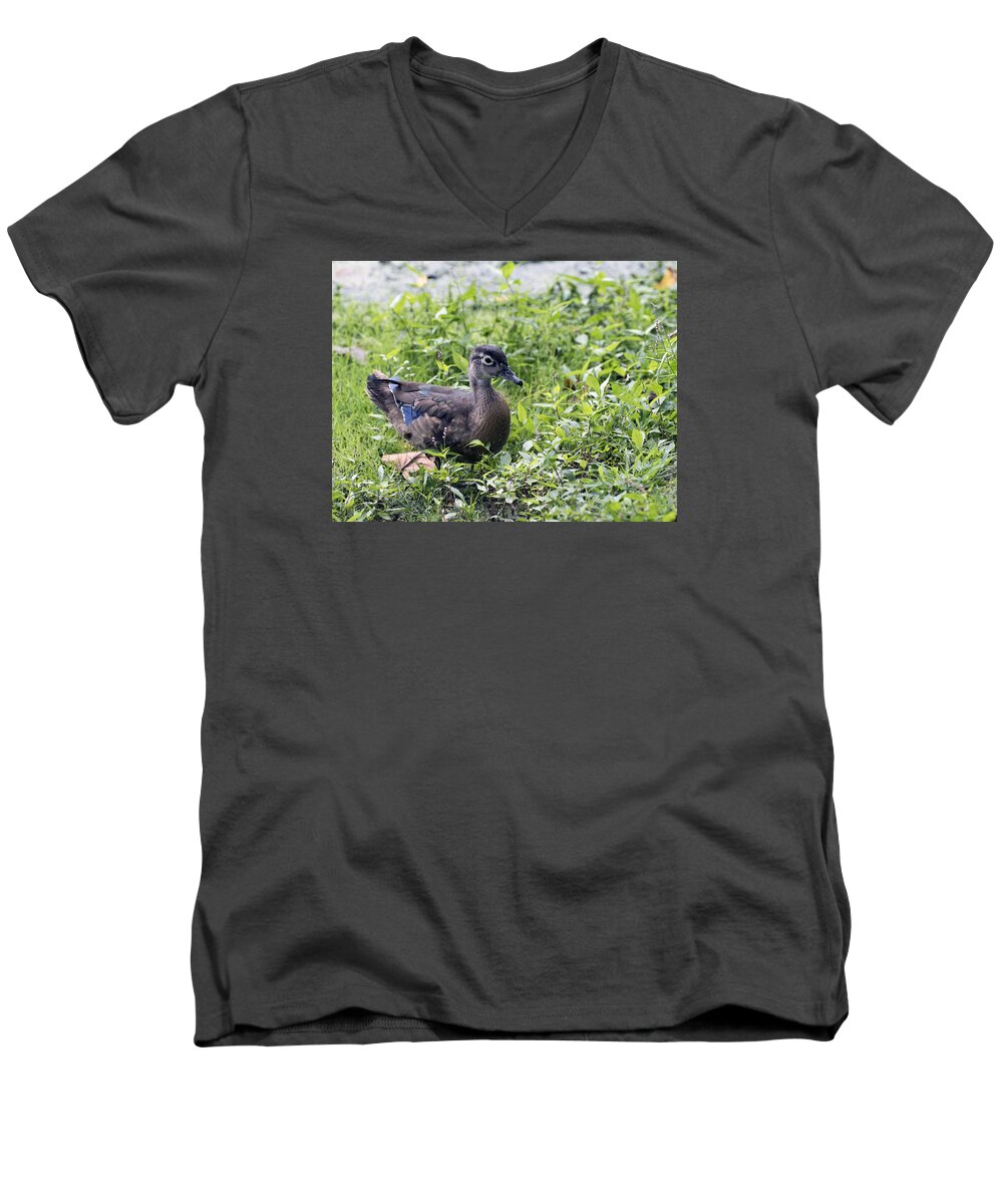 Wildlife Men's V-Neck T-Shirt featuring the photograph Just Ducky by Paul Ross