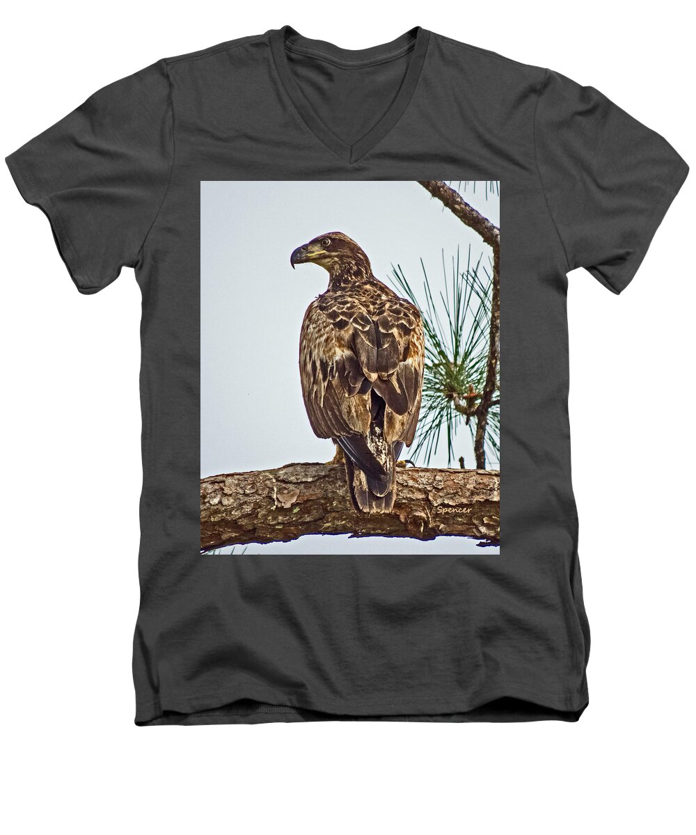 Bird Men's V-Neck T-Shirt featuring the photograph Juvenile by T Guy Spencer