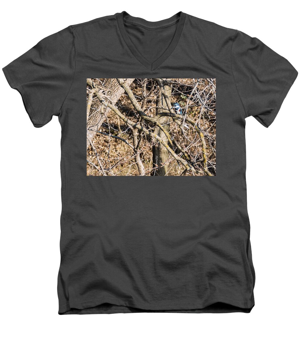 Kingfisher Men's V-Neck T-Shirt featuring the photograph Kingfisher Hunting by Ed Peterson