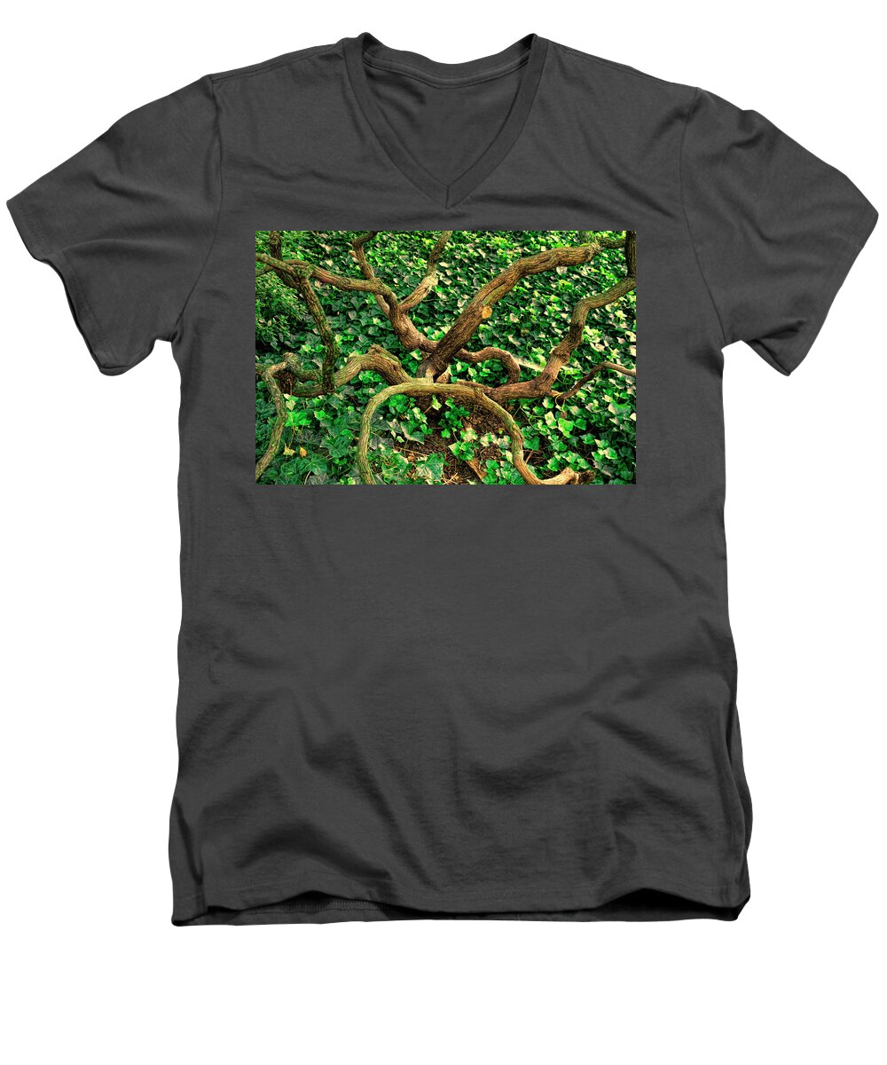 Branches Men's V-Neck T-Shirt featuring the photograph Knarlwood by S Paul Sahm