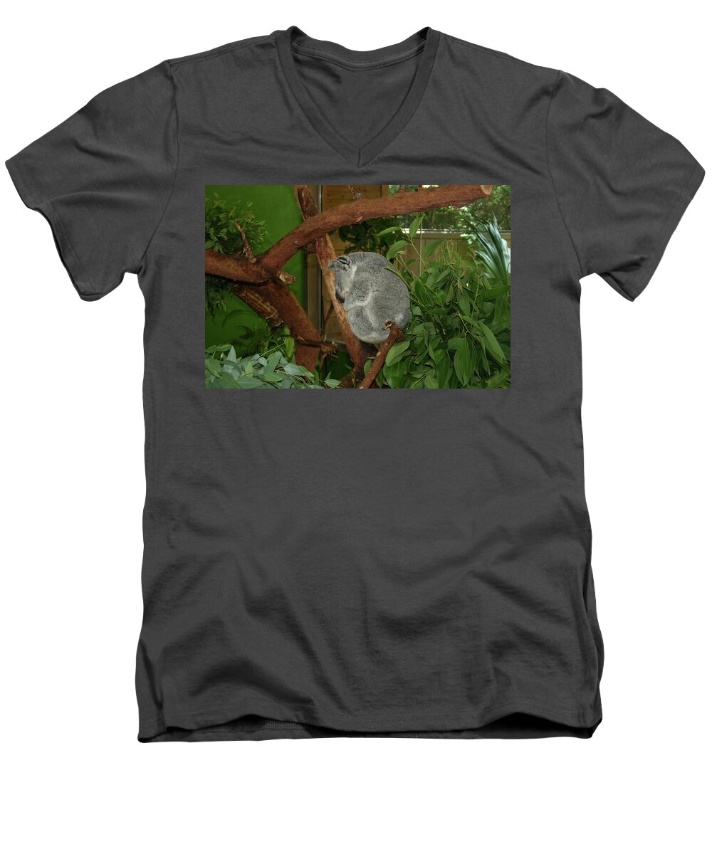 Koala Men's V-Neck T-Shirt featuring the photograph Koala by Cathy Harper