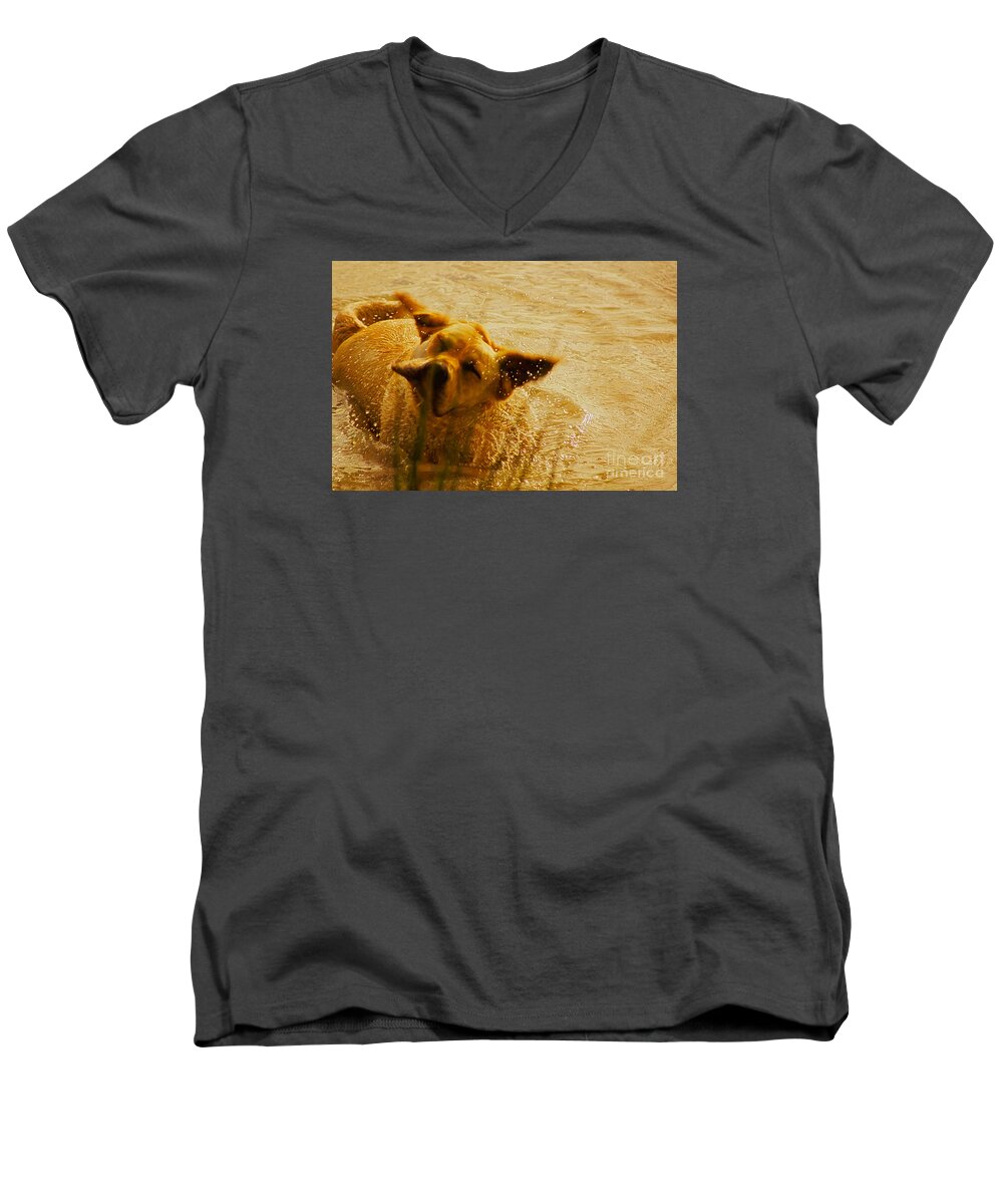 Droplets Men's V-Neck T-Shirt featuring the photograph Labrador Retriever by Cassandra Buckley