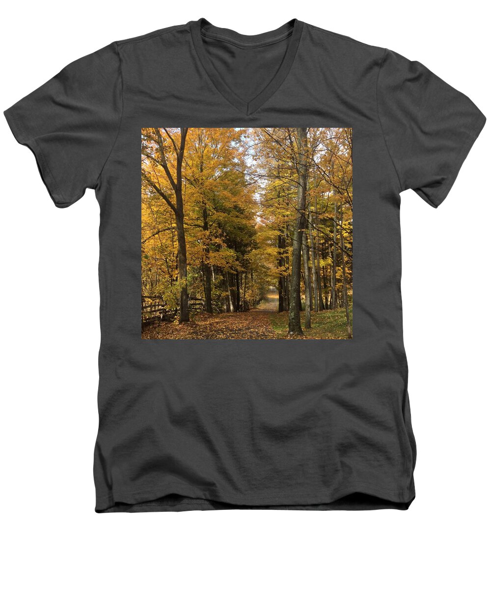 Autumn Men's V-Neck T-Shirt featuring the photograph Lane by Pat Purdy