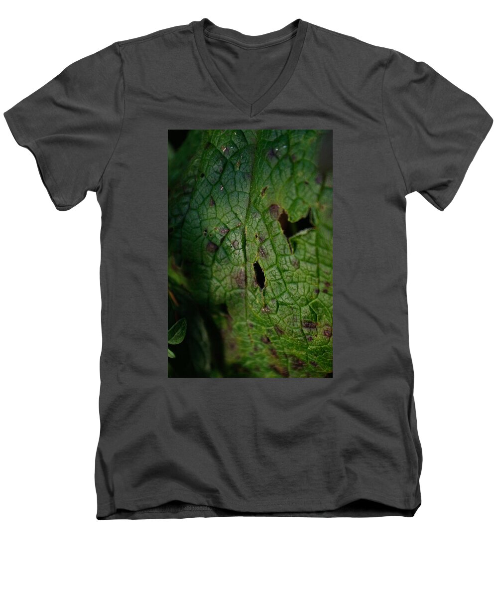 Adria Trail Men's V-Neck T-Shirt featuring the photograph Languid Leaf by Adria Trail