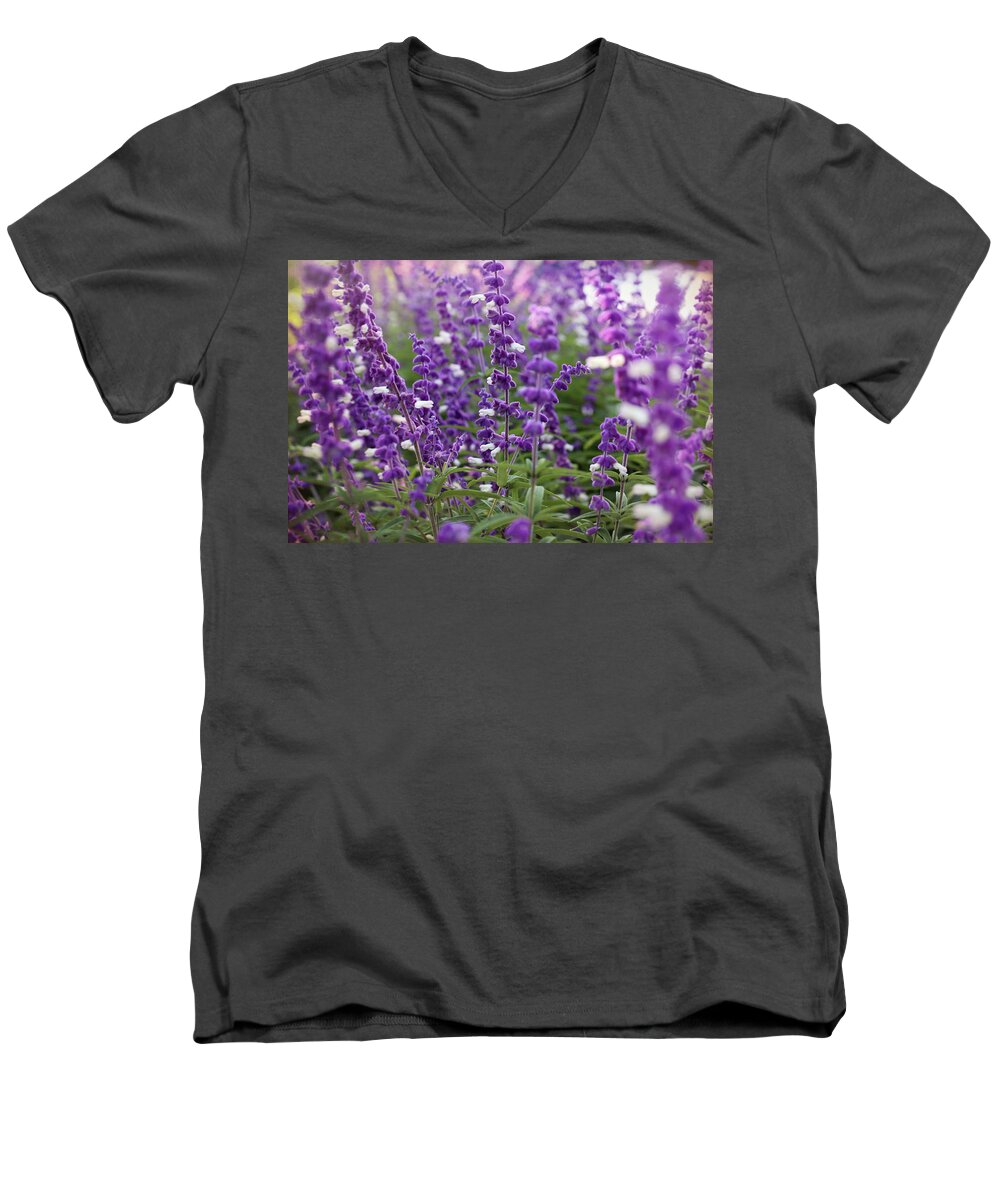 Lavender Men's V-Neck T-Shirt featuring the photograph Mexican Bush Sage by Judy Vincent