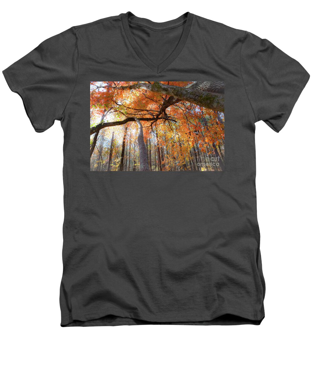 Landscape Men's V-Neck T-Shirt featuring the photograph Lead the Way - Georgia by Adrian De Leon Art and Photography