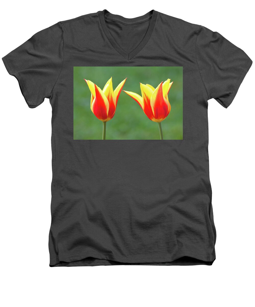 Tulips Men's V-Neck T-Shirt featuring the photograph Lean on me by Ram Vasudev