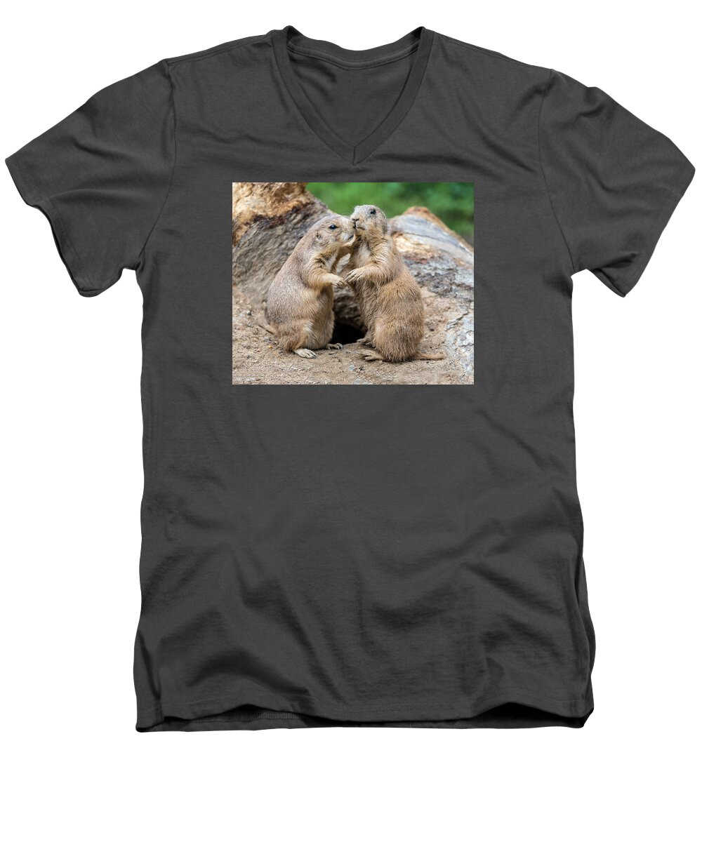 Prairie Dog Men's V-Neck T-Shirt featuring the photograph Let's Fall In Love by William Bitman