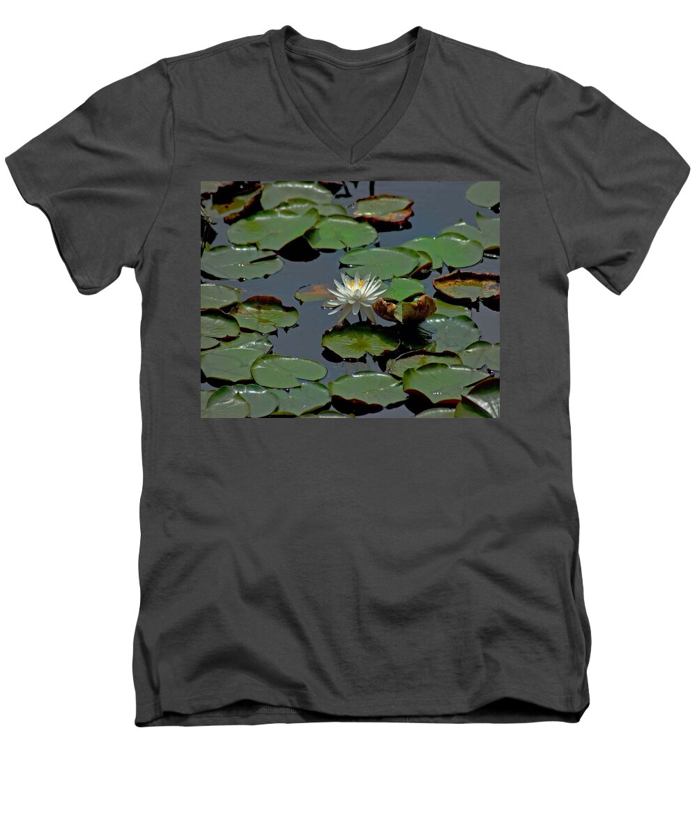 Sunflowers Men's V-Neck T-Shirt featuring the painting Lilly on the Pad by Michael Thomas
